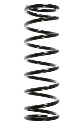 SPIDAN Fjeder 55329 bagaksel for FORD