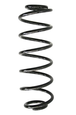 SPIDAN Fjeder 55289 bagaksel for FORD