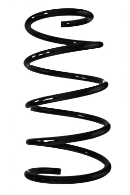 SPIDAN Fjeder 87811 foraksel for TOYOTA