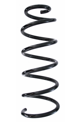 SPIDAN Fjeder 87829 bagaksel for FIAT