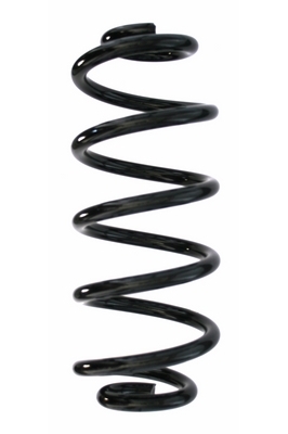 SPIDAN Fjeder 87869 bagaksel for RENAULT SMART