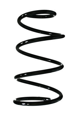 SPIDAN Fjeder 55617 bagaksel for LANCIA
