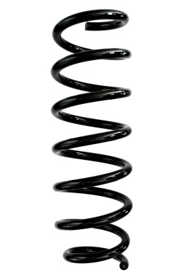 SPIDAN Fjeder 87979 foraksel for BMW