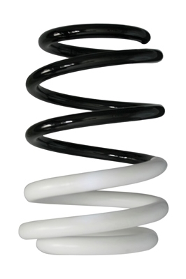 SPIDAN Fjeder 88007 foraksel for RENAULT