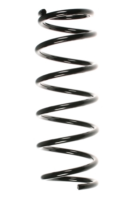 SPIDAN Fjeder 49766 bagaksel for OPEL