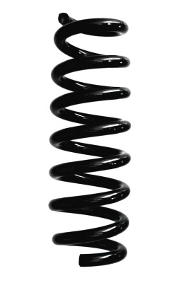 SPIDAN Fjeder 87936 bagaksel for BMW