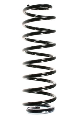 SPIDAN Fjeder 56138 bagaksel for RENAULT