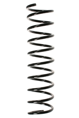 SPIDAN Fjeder 49287 bagaksel for RENAULT