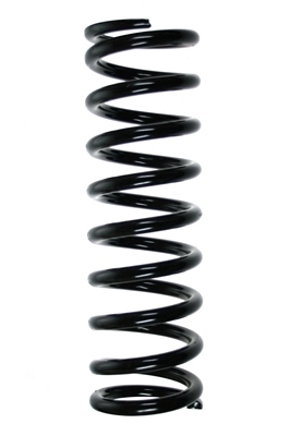 SPIDAN Fjeder 55596 foraksel for JAGUAR