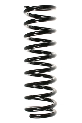 SPIDAN Fjeder 49696 foraksel for MERCEDES-BENZ