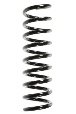 SPIDAN Fjeder 55738 foraksel for MERCEDES-BENZ
