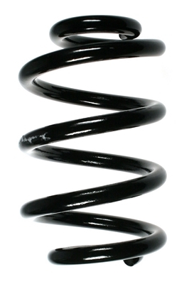 SPIDAN Fjeder 55996 foraksel for OPEL NISSAN RENAULT
