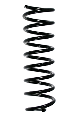 SPIDAN Fjeder 85016 bagaksel for RENAULT