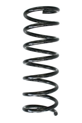 SPIDAN Fjeder 85051 bagaksel for FORD