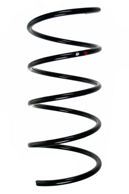 SPIDAN Fjeder 85196 foraksel for MERCEDES-BENZ