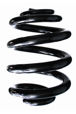 SPIDAN Fjeder 85528 bagaksel for VW