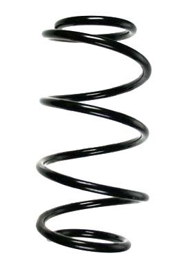 SPIDAN Fjeder 85957 foraksel for NISSAN