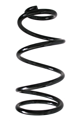 SPIDAN Fjeder 85902 foraksel for FORD