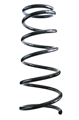 SPIDAN Fjeder 85552 foraksel for FIAT SUZUKI