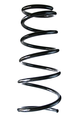 SPIDAN Fjeder 85556 foraksel for FIAT SUZUKI