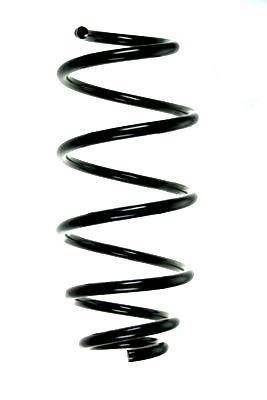 SPIDAN Fjeder 86304 foraksel for CHEVROLET