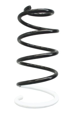 SPIDAN Fjeder 86713 foraksel for FIAT CITROËN/PEUGEOT
