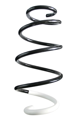 SPIDAN Fjeder 86806 foraksel for CITROËN/PEUGEOT
