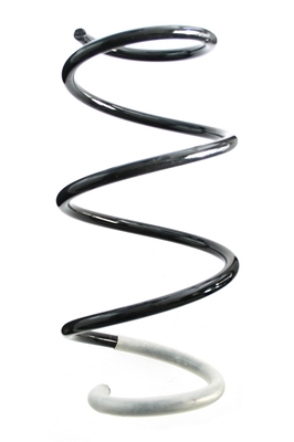 SPIDAN Fjeder 87044 foraksel for DACIA