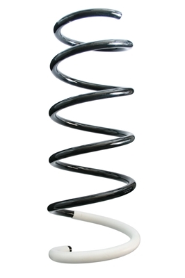 SPIDAN Fjeder 87034 foraksel for DACIA