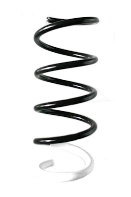 SPIDAN Fjeder 87046 foraksel for DACIA