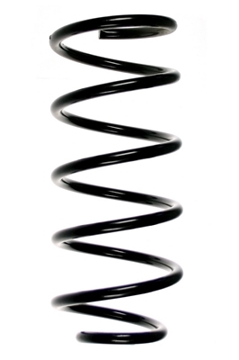 SPIDAN Fjeder 48595 bagaksel for FIAT