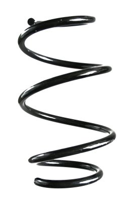 SPIDAN Fjeder gknw10126 foraksel for BMW