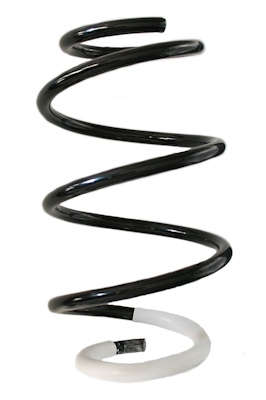 SPIDAN Fjeder gknw10145 foraksel for HYUNDAI