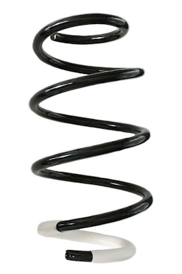 SPIDAN Fjeder gknw10147 foraksel for HYUNDAI