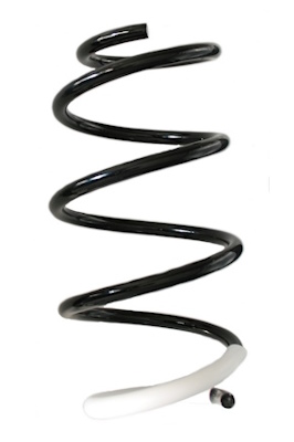 SPIDAN Fjeder gknw10148 foraksel for HYUNDAI