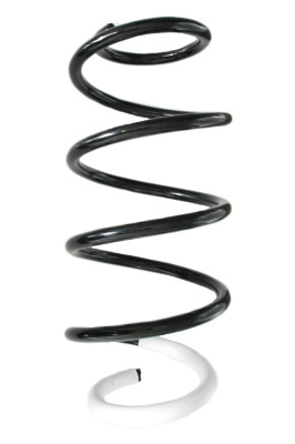 SPIDAN Fjeder gknw10168 foraksel for MERCEDES-BENZ