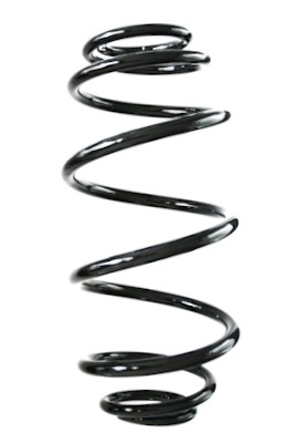 SPIDAN Fjeder gknw10169 bagaksel for MERCEDES-BENZ