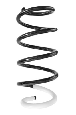 SPIDAN Fjeder gknw10171 foraksel for MERCEDES-BENZ