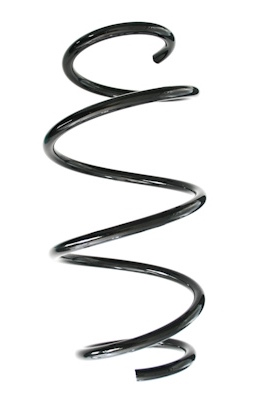 SPIDAN Fjeder gknw10244 foraksel for BMW