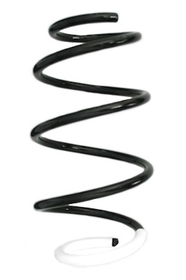 SPIDAN Fjeder gknw10209 foraksel for HYUNDAI