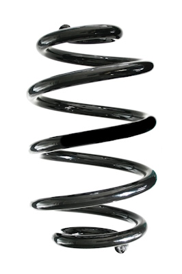 SPIDAN Fjeder gknw10227 bagaksel for NISSAN