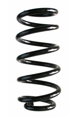 SPIDAN Fjeder 87284 bagaksel for BMW