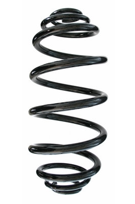 SPIDAN Fjeder 87230 bagaksel for RENAULT