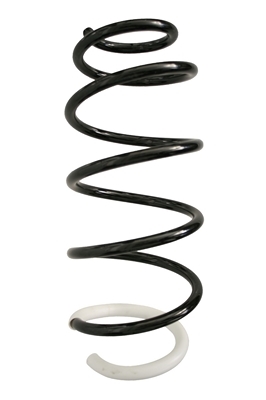 SPIDAN Fjeder 87355 foraksel for PEUGEOT