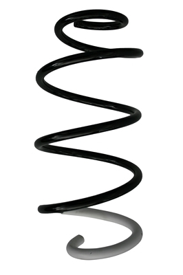 SPIDAN Fjeder 87363 foraksel for PEUGEOT