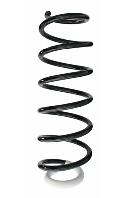 SPIDAN Fjeder 87382 foraksel for CITROËN/PEUGEOT