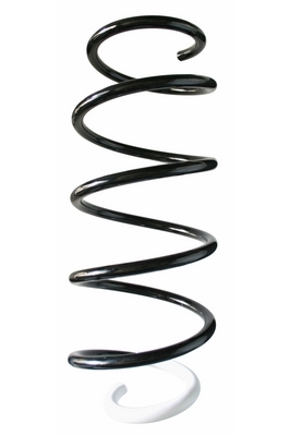SPIDAN Fjeder 87398 foraksel for CITROËN/PEUGEOT