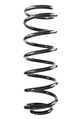SPIDAN Fjeder gknw10264 bagaksel for FORD