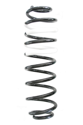 SPIDAN Fjeder gknw10263 bagaksel for FORD