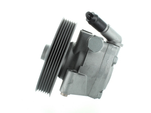 SPIDAN Hydraulikpumpe, styresystem 52600 for FORD LAND ROVER